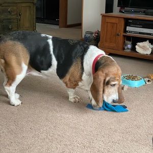 Meet your Posher, Linda